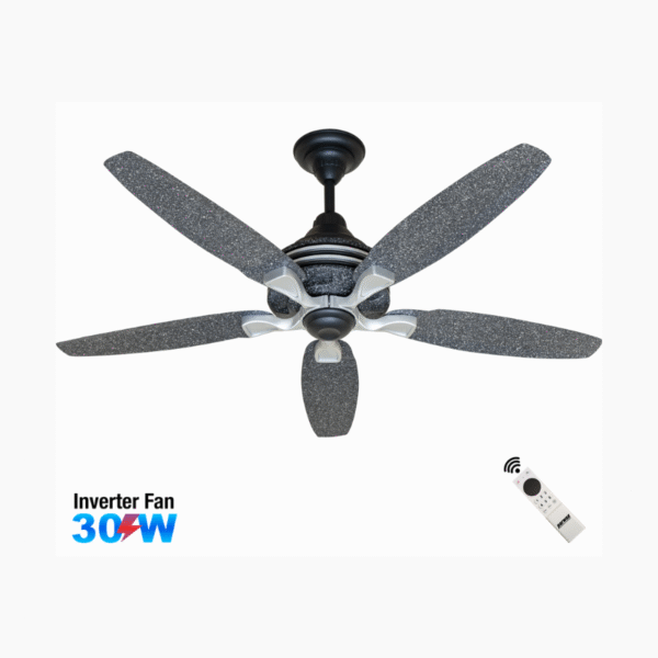 Splendor – Inverter 30W