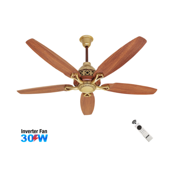 Hector – Inverter 30W