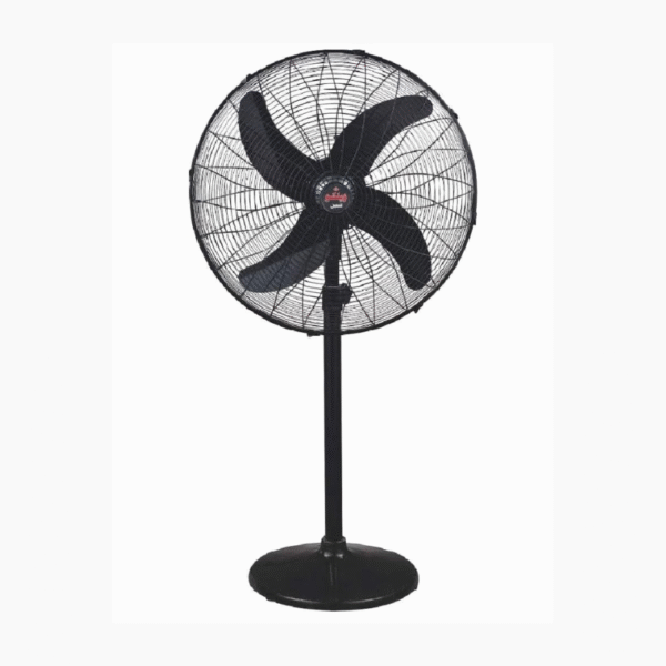 Welco 24" Inch AC/DC Pedestal Fan